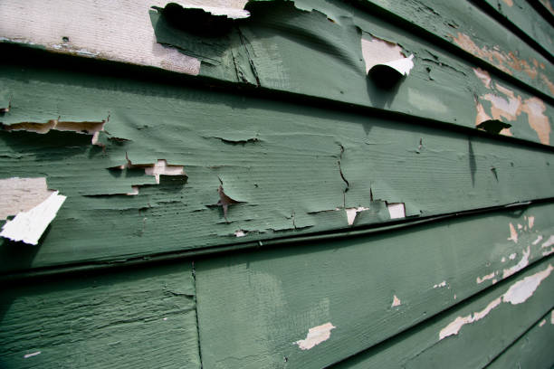 Best Custom Trim and Detailing for Siding  in Crandon Lakes, NJ