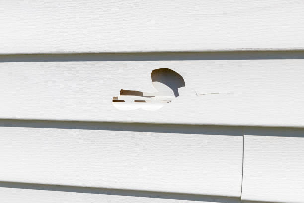 Best Aluminum Siding Installation  in Crandon Lakes, NJ