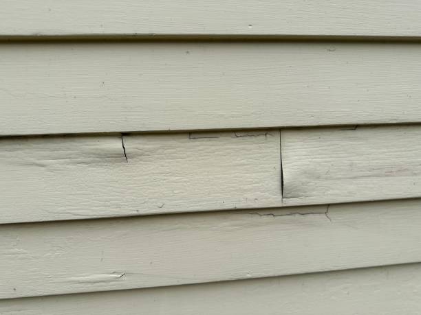 Professional Siding Installation & Repair in Crandon Lakes, NJ